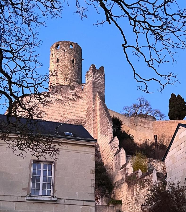 Le Rabelais, Superbe Appartement En Duplex, Proche Forteresse Et Monument Historique チノン エクステリア 写真